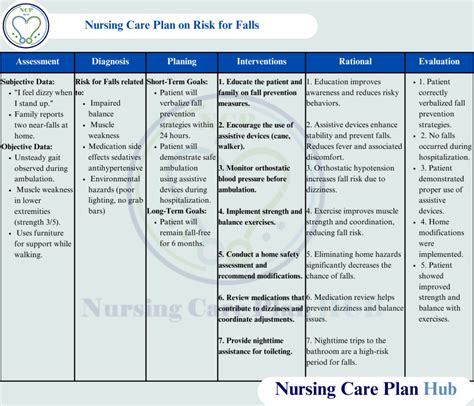Fall Care Plan Outcome