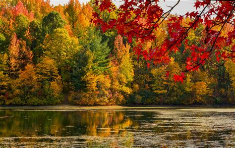 Six Spots to Peep Spectacular Fall Foliage Cincinnati Magazine