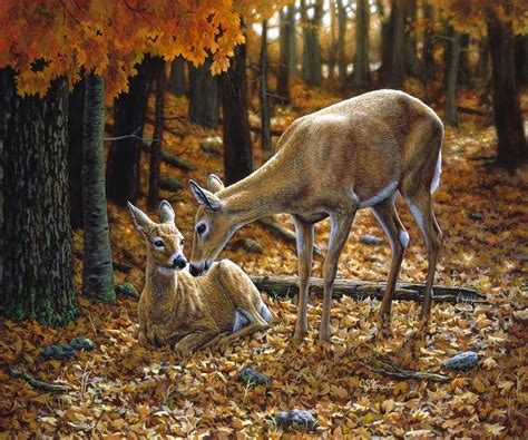 fall deer painting