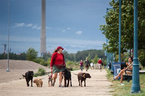 fall dog walking packages in toronto