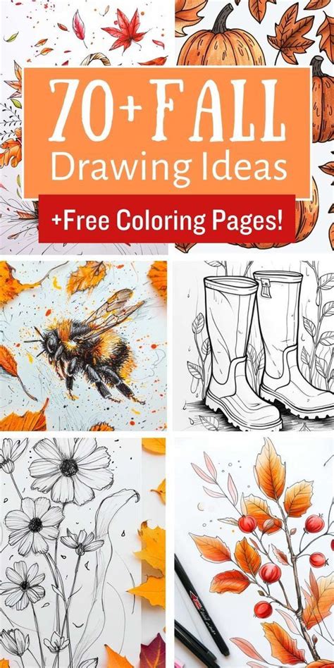 Fall drawing pages with different elements