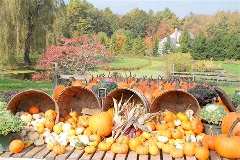 fall festivals in maine 2023