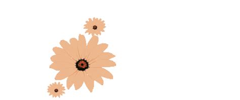 Fall Flower Gif