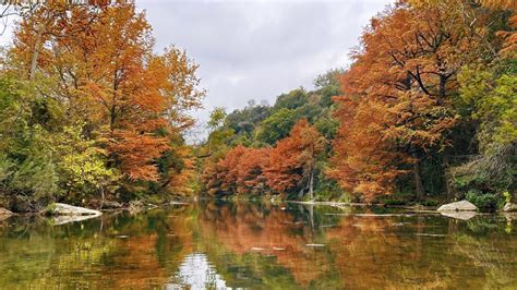 Fall Foliage In Austin Tx