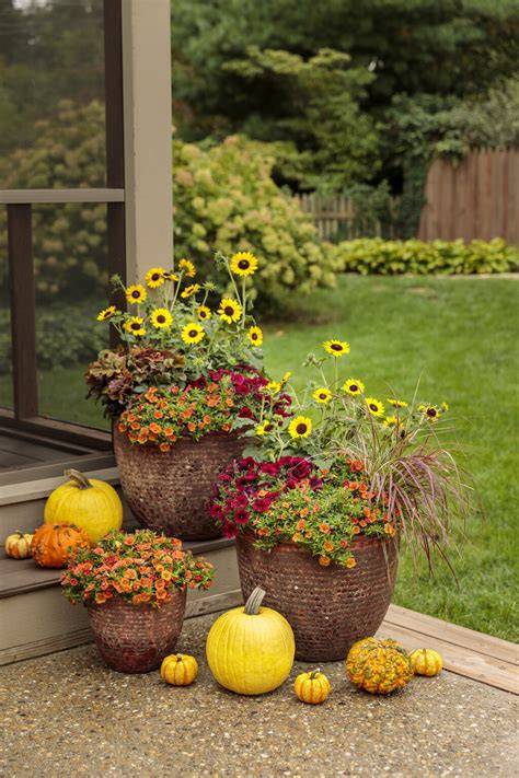 Fall Gardening Tips How To Prepare Your Garden For Fall