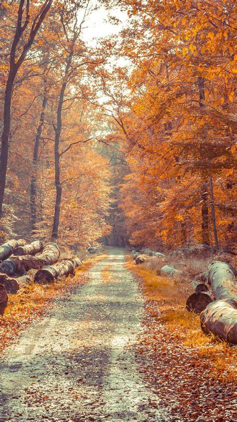 Autumn iPhone X Wallpapers Wallpaper Cave