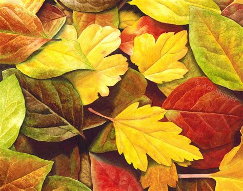 fall leaves paintings