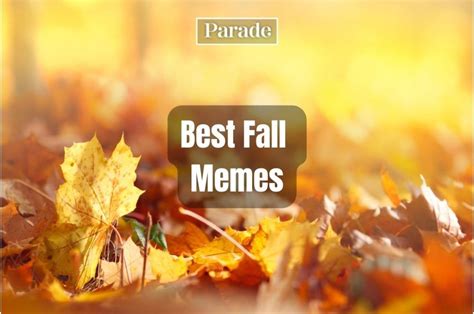 fall memes