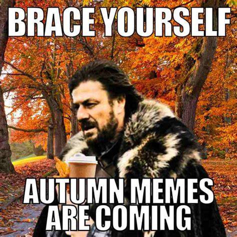 halloween teacher meme Teacher memes, Teacher humor, Love teacher
