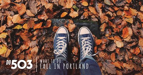 fall moving services packages in portland