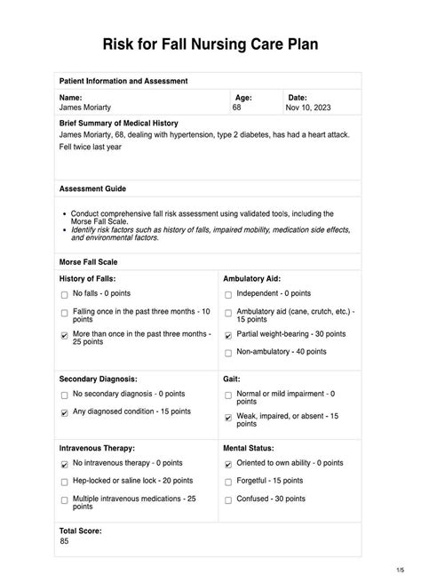 Fall Prevention Nursing Care