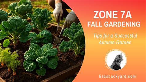 Fall Plants For Zone 7A