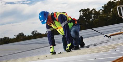 Fall Restraint System Nz