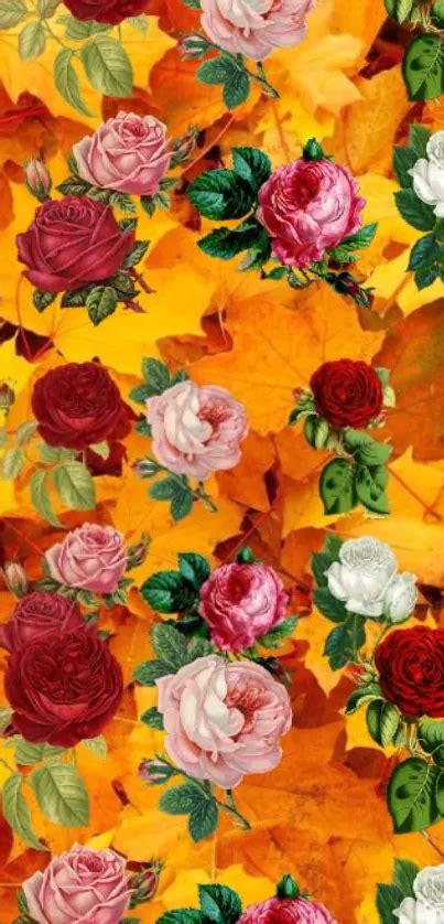fall roses wallpaper