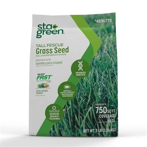 Fall Seeding Tall Fescue