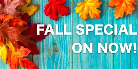 fall specials for seo service pricing