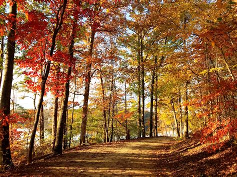fall travel agency packages in winston-salem
