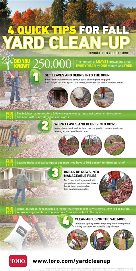 Fall Yard Clean Up Safety Tips