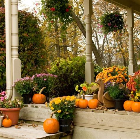 Fall Yard Projects