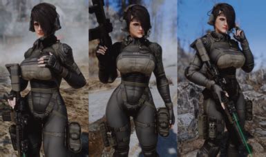 fallout 4 collections nexus