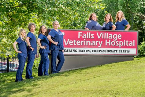 falls village animal hospital
