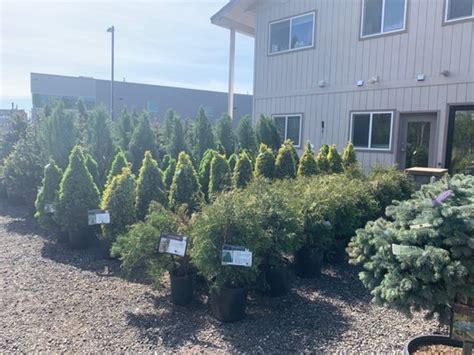 Faltz Nursery: Your One-Stop Shop for High-Quality Plants and Landscaping Services