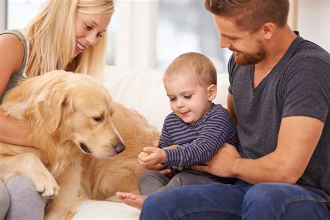 famille avec un chien