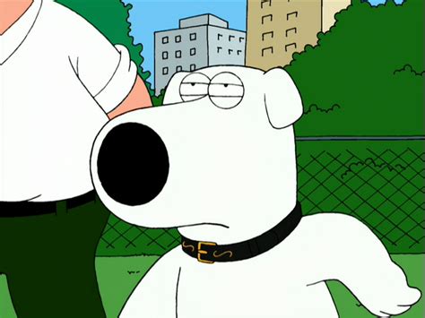 family guy brian portrait of a dog