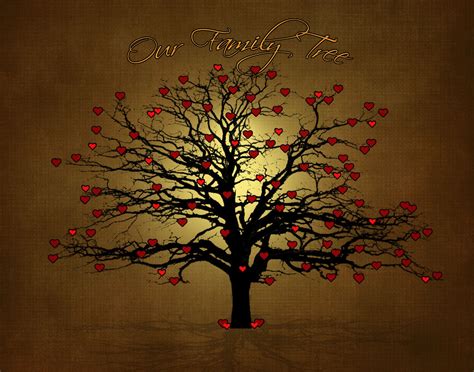 family tree background wallpaper