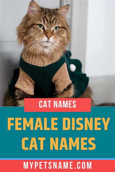 Famous Cat Names in Movies