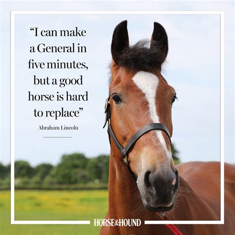 famous quotes about horses