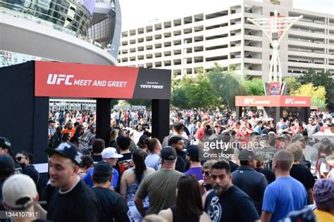 Fan Experience Ufc