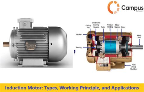Fan Induction Motor Types