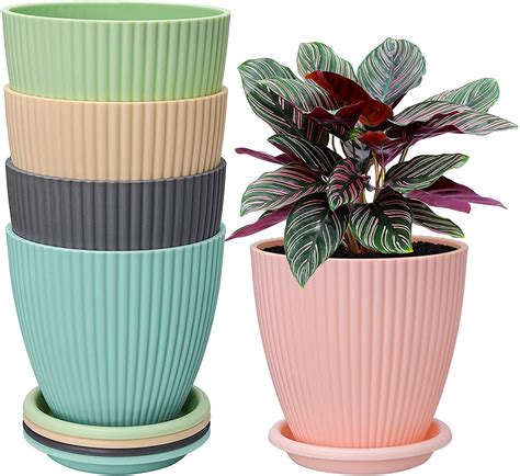 Fancy Flower Pots Online