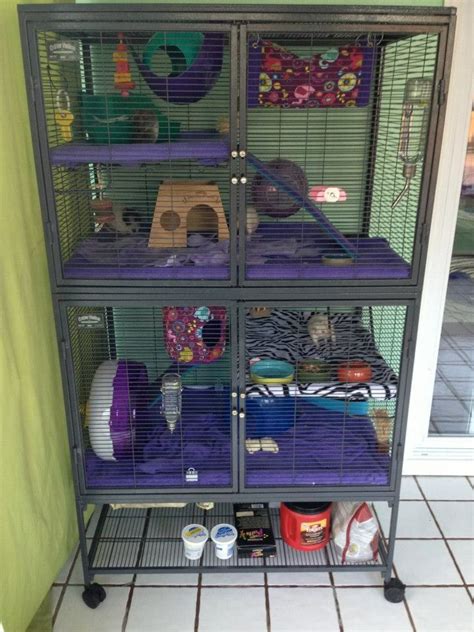 Fancy Rat Cage Set Up