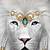 fantasy white lion art