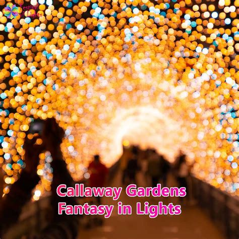 Fantasy in Lights Discount Tickets 2022 23.75 Any Tots