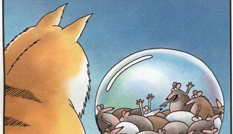 13 'The Far Side' comic strips featuring cats!