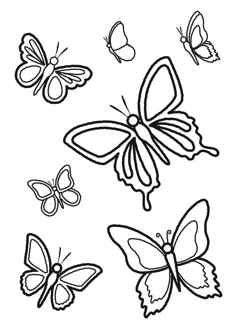 Colora i disegni delle farfalle Libri per bambini e ragazzi