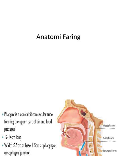 Faring
