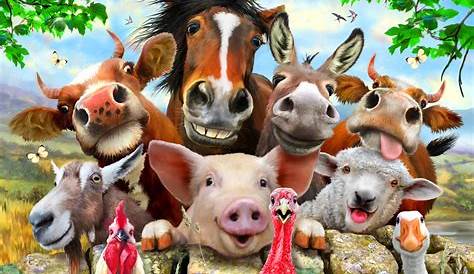 Farm Animals wallpapers, Animal, HQ Farm Animals pictures | 4K