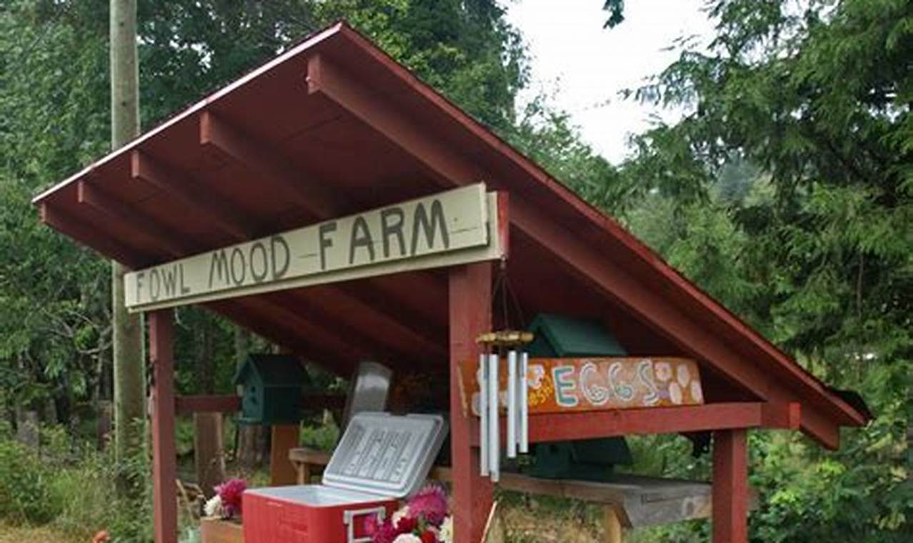 Unveil the Secrets of DIY Farm Stands: Your Guide to Success