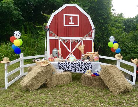 farm birthday party dfw