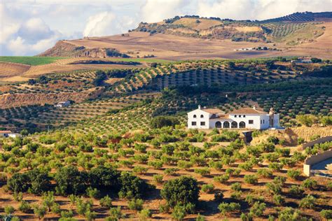 farm land in spain