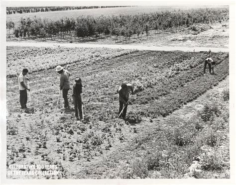 Farm Work Texas