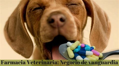 farmacia veterinaria online chile