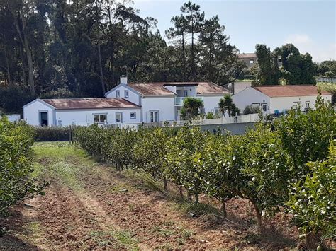 farmer for fun portugal property for sale