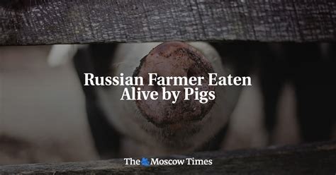 farmers eaten by pigs