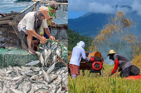 Unveiling the Sea-Faring Collaboration: Farmers Fishers' Sustainable Ties