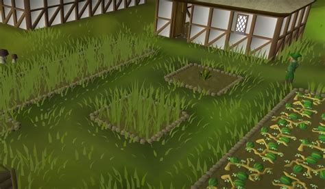 farming boosting osrs